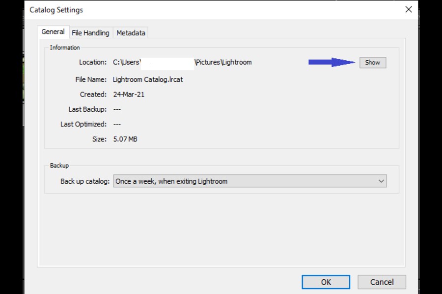 Clicking on Show to view the storage destination of your Lightroom catalog